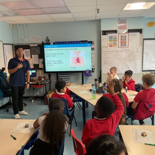 Science - The Cardiovascular System