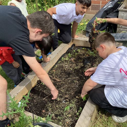 Gardening