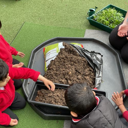 Planting and Growing